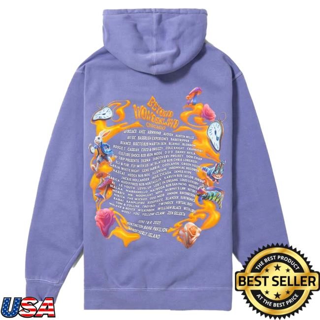Official Insomniac Merch Shop BW Chicago Scenic Lineup Hoodies