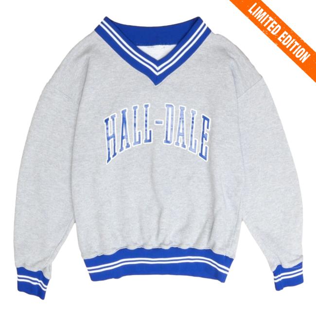 Official Throwback Vault Vintage Hall Dale Hoody Gray 90S