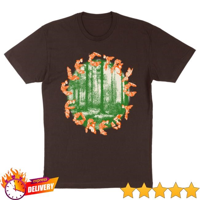 Official Electric Forest Merch Butterfly Effect Attractive Shirt